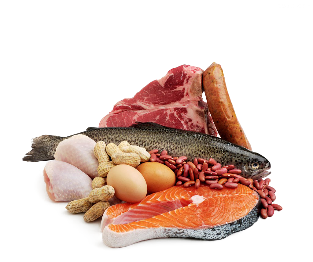 Raw meat and fish, Seafood Meat Fish Protein, meat, food, beef