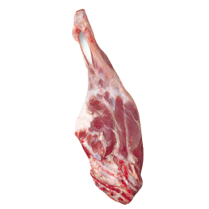 Lamb and mutton Beyti kebab Çiğ köfte Meat chop Red meat